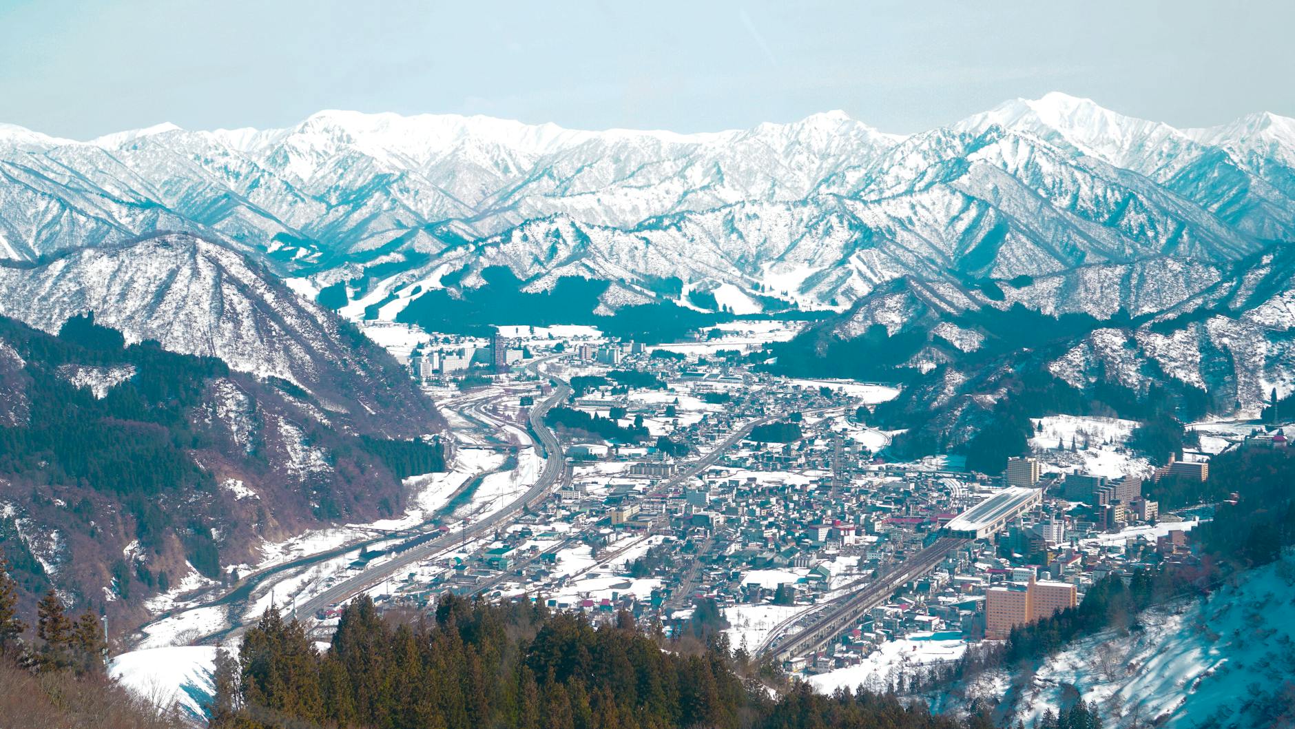 青山優雅の基本情報
