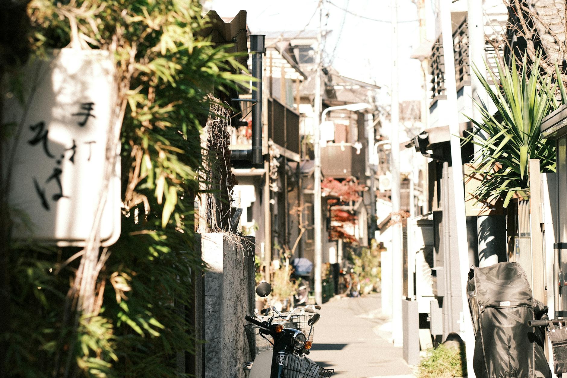 秤金次の基本情報